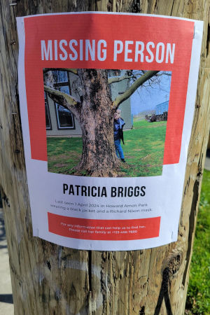 Missing Poster 2